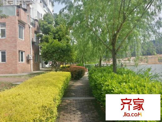 水榭名都外景圖 