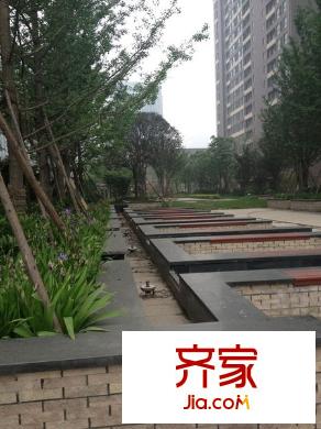 西港雅苑外景圖 