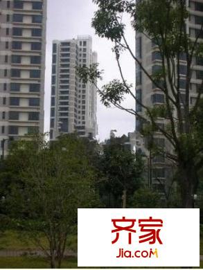 華城國(guó)際外景圖 