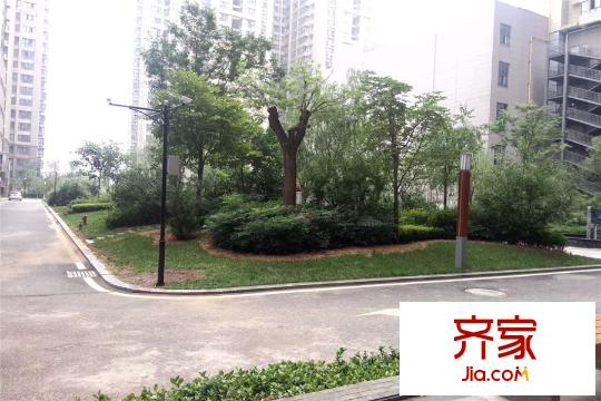 天漢中心社區(qū)園林景觀（攝于2015.8.13）