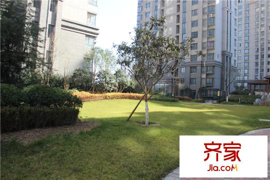 薈金?夢(mèng)想家小區(qū)園林景觀（2015-12-17）
