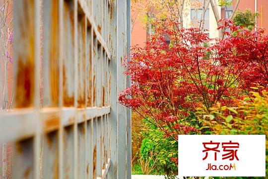 涇渭上城小區(qū)實景（20150420）