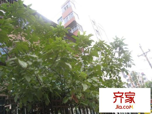 明珠巷送變電家屬院外景圖送變電家屬院 