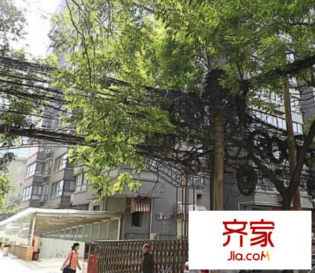 交通新苑外景圖