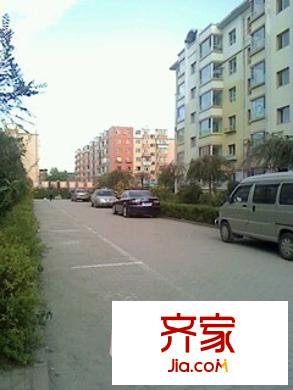 新園小區(qū)外景圖 