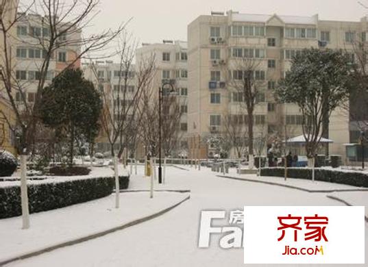 店子王生態(tài)家園外景圖 