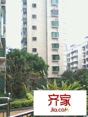 東江花園外景圖 