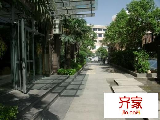 摩登BOBO