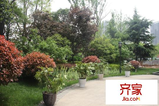 曲江千林郡園林實景（2015-4-22）