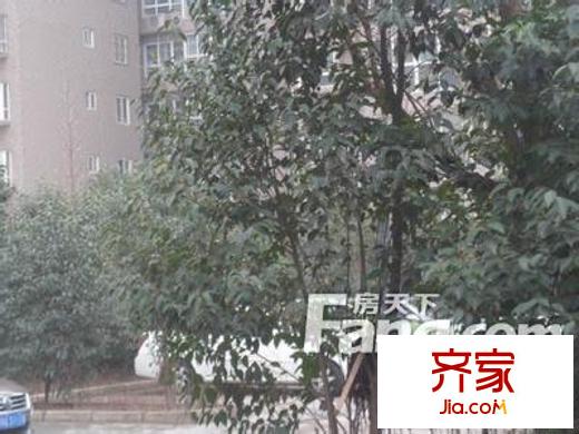 海榮小區(qū)外景圖 