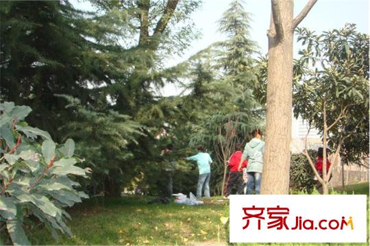 高新領(lǐng)域配套圖周邊永陽公園