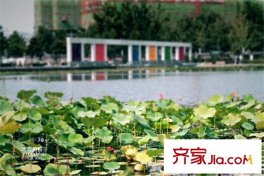 高新領(lǐng)域配套圖周邊永陽公園