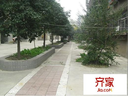 電力醫(yī)院家屬院外景圖 
