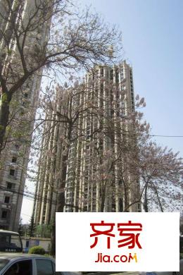 東方米蘭國際城施工進(jìn)度（拍攝于2015年4月23）