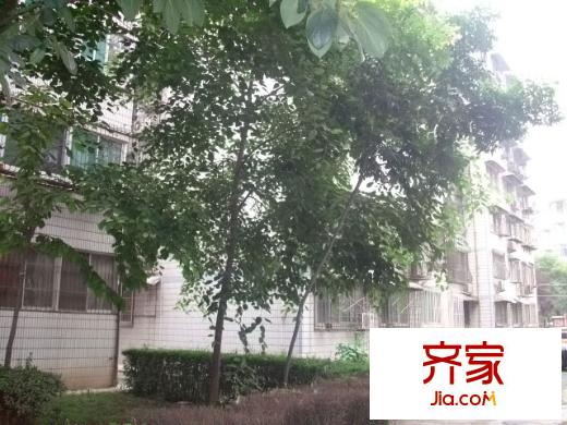 新科花園