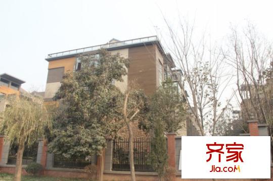 林隱天下外景圖 