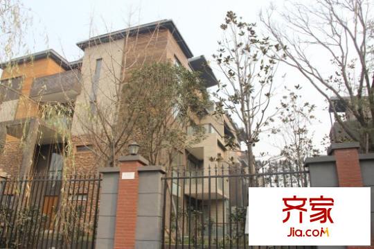 林隱天下外景圖 