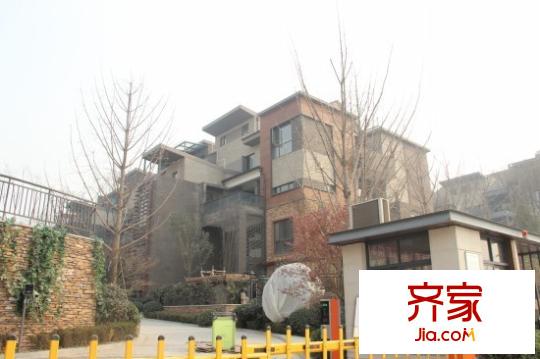 林隱天下外景圖 
