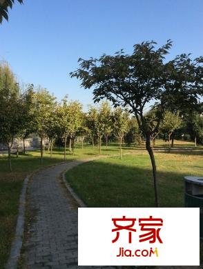 濱河