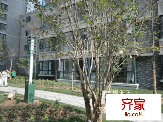 富苑陽光外景圖 