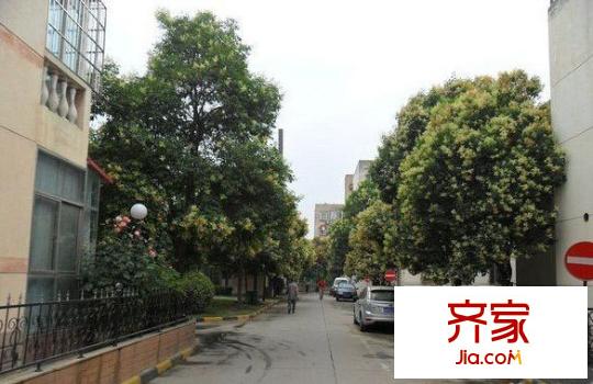 雅荷度假山莊外景圖2