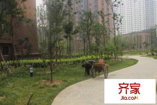 中鐵?尚都城小區(qū)內(nèi)部綠化（2015-12-3）
