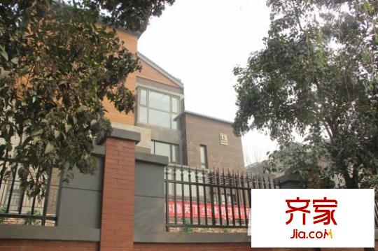 林隱天下外景圖 