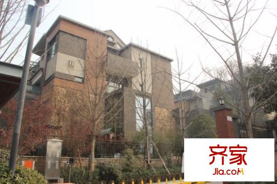 林隱天下外景圖 