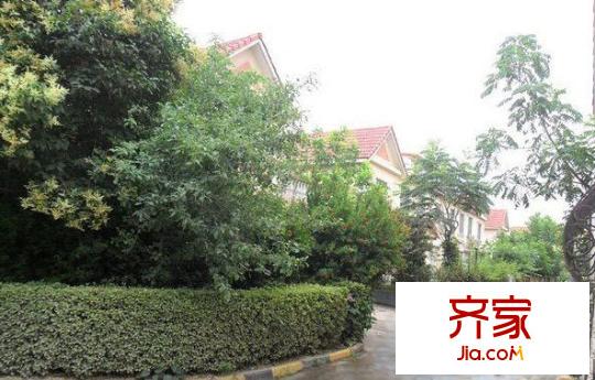 雅荷度假山莊外景圖