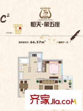 恒天第五座1#、2#C2戶型 1室2廳1衛(wèi)1廚