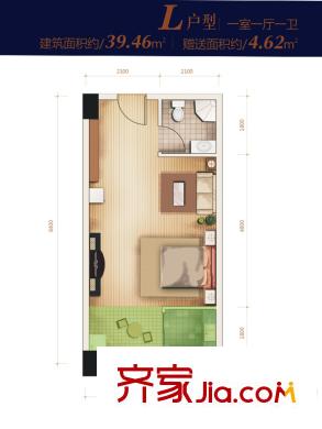 韶雨?地鐵城公寓1#L戶型 1室1廳1衛(wèi)1廚