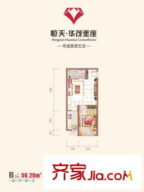 恒天?華茂星座B3戶型 1室1廳1衛(wèi)1廚
