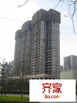 蒲公英國(guó)際廣場(chǎng)