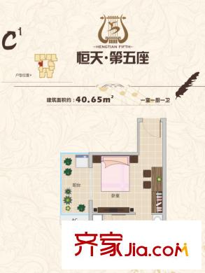 恒天第五座1#、2#C1戶型 1室1衛(wèi)1廚