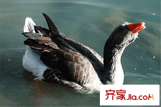 水滴Uhome周邊唐城墻遺址公園