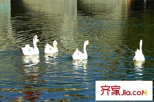水滴Uhome周邊唐城墻遺址公園
