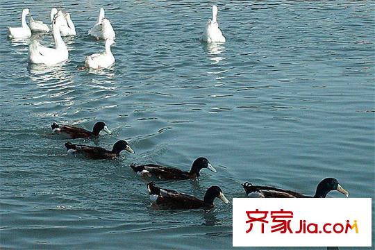 水滴Uhome周邊唐城墻遺址公園