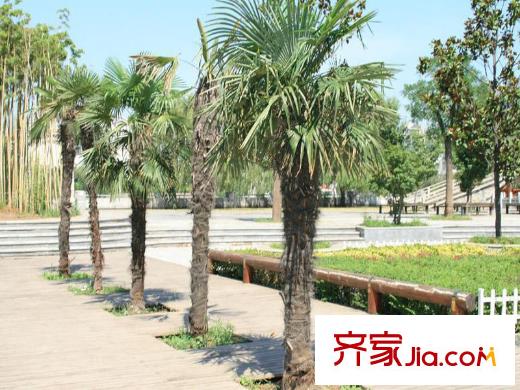 五星臻品周邊濱河公園