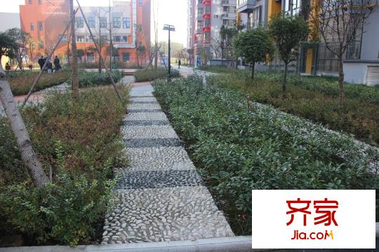 東尚蜂鳥園林景觀（2015-11-26）