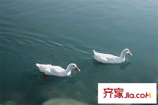 水滴Uhome周邊唐城墻遺址公園