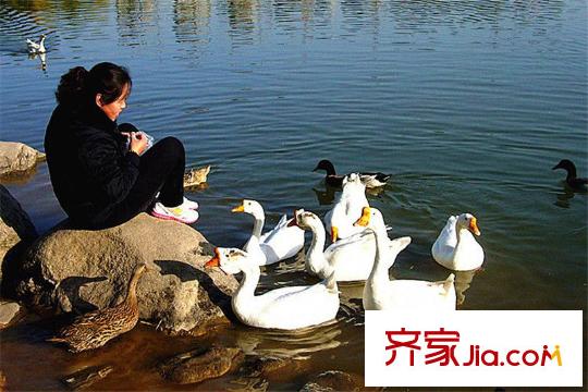 水滴Uhome周邊唐城墻遺址公園
