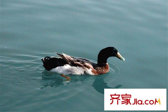 水滴Uhome周邊唐城墻遺址公園