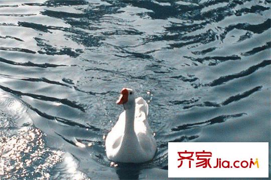 水滴Uhome周邊唐城墻遺址公園
