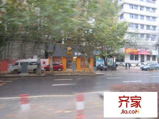 怡蘭?新主角