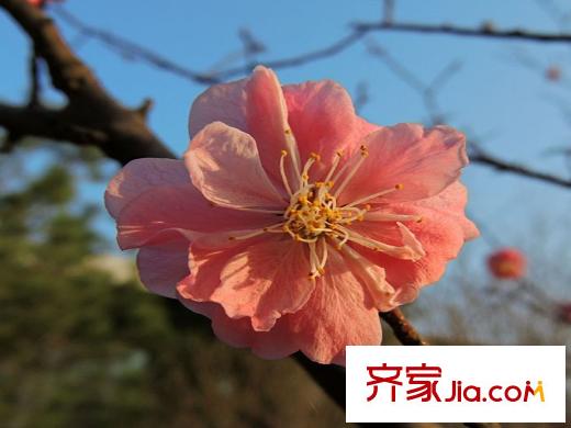 紫郡觀瀾周邊平方米灞濕地公園