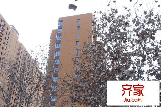 河風(fēng)雅苑1號(hào)樓施工進(jìn)度（2015-12-17）