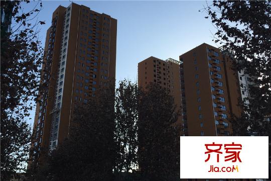 河風(fēng)雅苑項(xiàng)目施工進(jìn)度（2015-12-24）