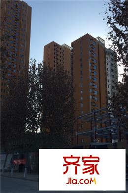 河風(fēng)雅苑項(xiàng)目施工進(jìn)度（2015-12-24）