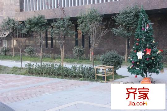 馨雅園小區(qū)園林景觀 （2015-12-27）