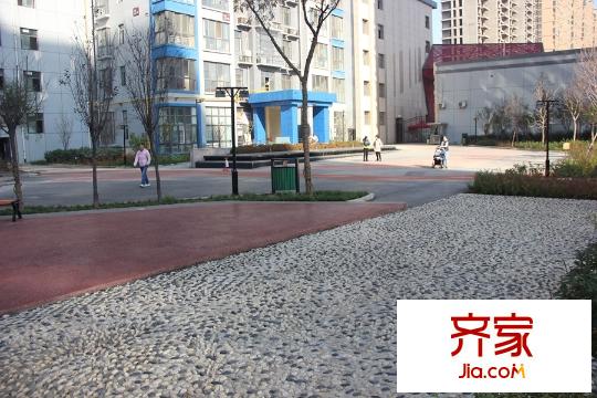 東尚蜂鳥園林景觀（2015-11-26）